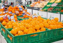 Mercadona inicia la campaña de naranjas con casi 60.000 toneladas de producto valenciano Mercadona inicia la campaña de naranjas con casi 60.000 toneladas de producto valenciano