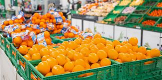 Mercadona inicia la campaña de naranjas con casi 60.000 toneladas de producto valenciano