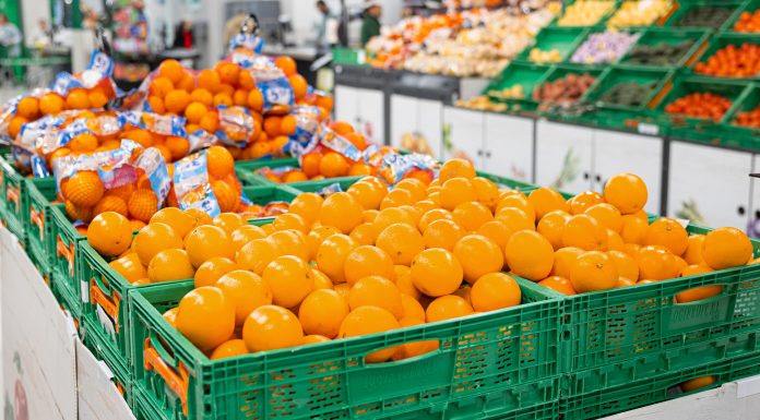 Mercadona inicia la campaña de naranjas con casi 60.000 toneladas de producto valenciano Mercadona inicia la campaña de naranjas con casi 60.000 toneladas de producto valenciano