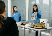 Semana de la Ciencia en el Oceanogràfic: así podrás convertirte en "Veterinario por un día"