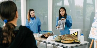 Semana de la Ciencia en el Oceanogràfic: así podrás convertirte en "Veterinario por un día"