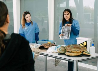 Semana de la Ciencia en el Oceanogràfic: así podrás convertirte en "Veterinario por un día"