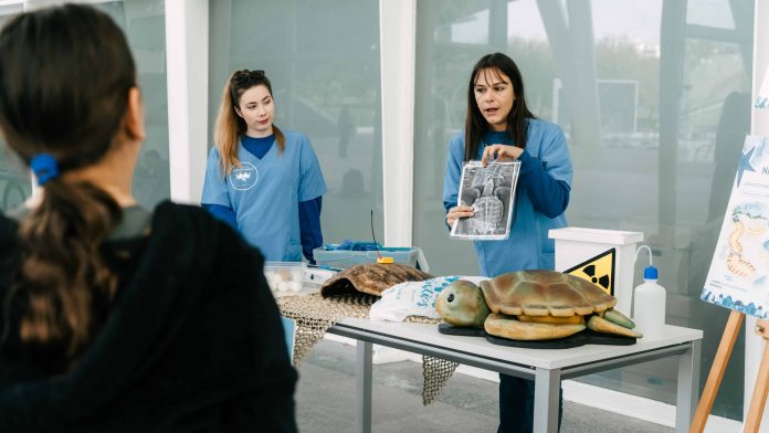 7TeleValencia - Semana de la Ciencia Oceanogràfic Semana de la Ciencia en el Oceanogràfic: así podrás convertirte en "Veterinario por un día"