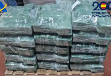 Desmantelan en Valencia una enorme red de narcotráfico con dos toneladas de cocaína ocultas en fruta