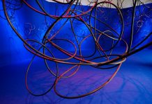 El IVAM presenta su programa 2026 con una mirada al territorio valenciano, la sostenibilidad y la creación femenina