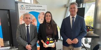 La presidenta, Lorena Martínez, recoge el reconocimiento de Conselleria