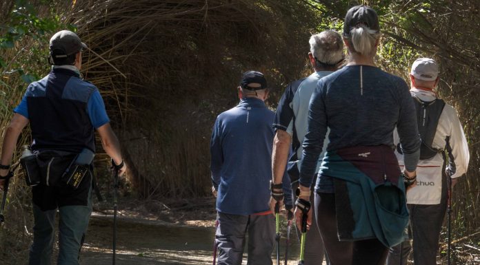 40 EXPERIENCIAS PARA DESCUBRIR CAMP DE TÚRIA COMO NUNCA ANTES LA HABÍAS VIVIDO