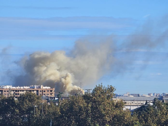 WhatsApp Image 2025-11-15 at 11.10.46 (1)