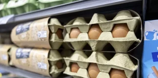 Huevos en un estante de supermercado / EFE