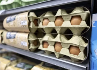 Huevos en un estante de supermercado / EFE