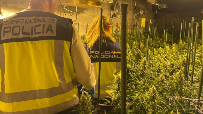 1-2 Cuerpo de la Policia Nacional