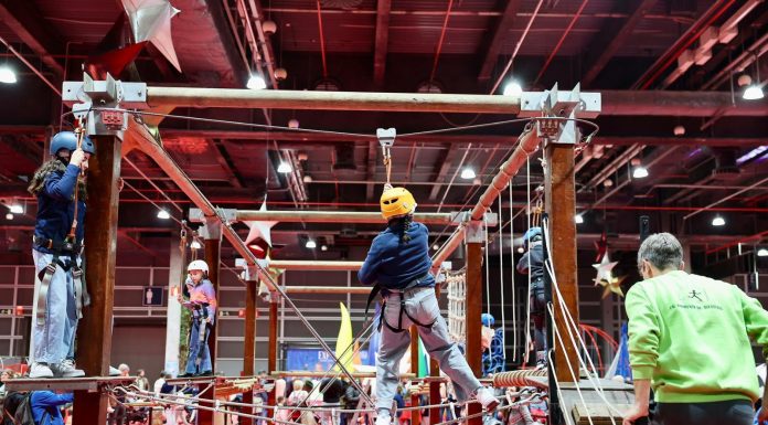 Estas son las novedades de Expojove