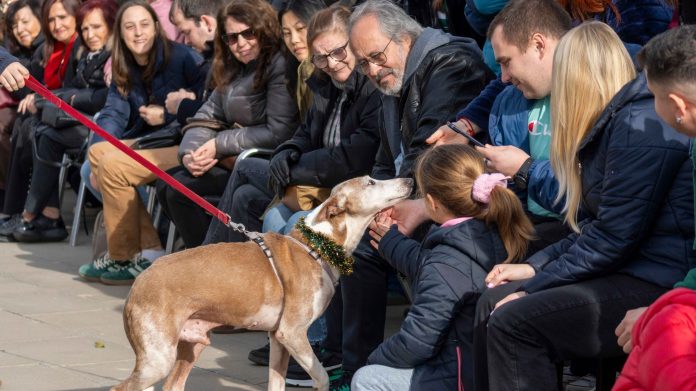 21 de diciembre 2025 - 27 Desfile AUPA BIOPARC_4