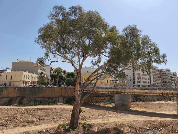 251223 Acualipto Paiporta