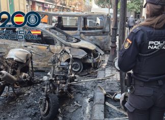 Detenido por incendiar 18 contenedores y dañar más de 30 vehículos en Valencia