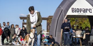 La lluvia obliga a aplazar el desfile de perros de Bioparc La lluvia obliga a aplazar el desfile de perros de Bioparc