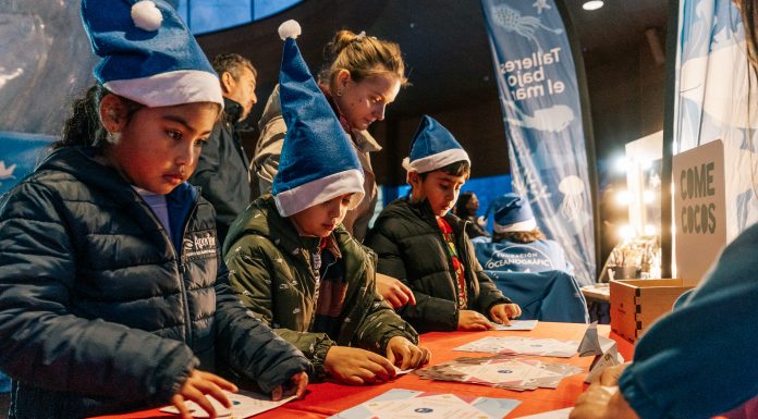 La ‘Navidad Bajo el Mar’ vuelve al Oceanogràfic con actividades para todos los públicos La ‘Navidad Bajo el Mar’ vuelve al Oceanogràfic con actividades para todos los públicos