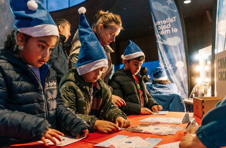 La ‘Navidad Bajo el Mar’ vuelve al Oceanogràfic con actividades para todos los públicos