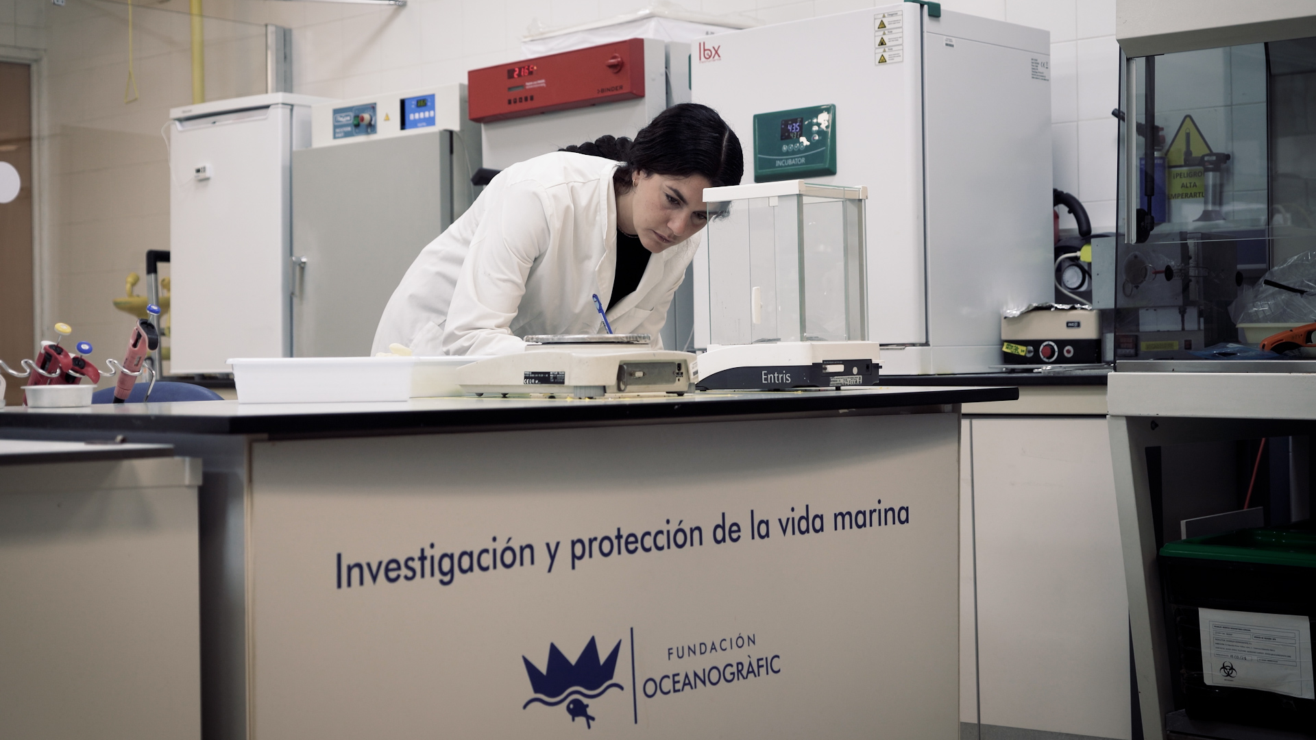 Un estudio pionero valida un método noinvasivo para medir el bienestar animal con la piel de los delfines del Oceanogràfic