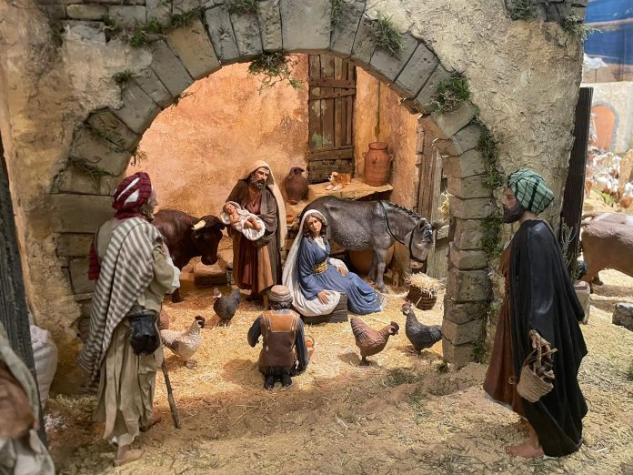 WhatsApp Image 2025-12-12 at 15.31.41 (1)