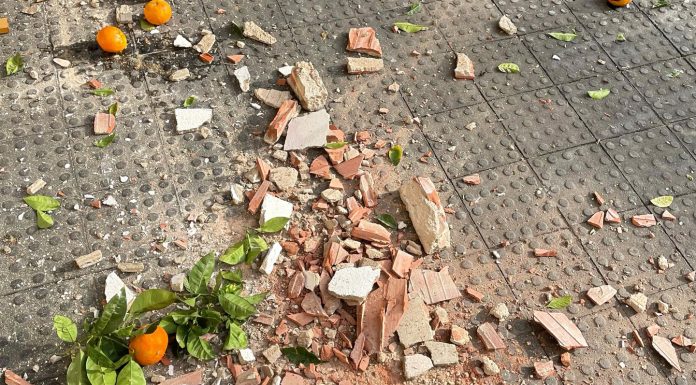 Los bomberos tiene que actuar ante los desprendimientos de una fachada junto al jardín de Ayora