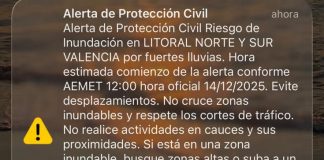Las alarmas resuenan por la plaza del Ayuntamiento y el resto de la provincia