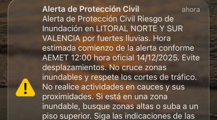 Las alarmas resuenan por la plaza del Ayuntamiento y el resto de la provincia