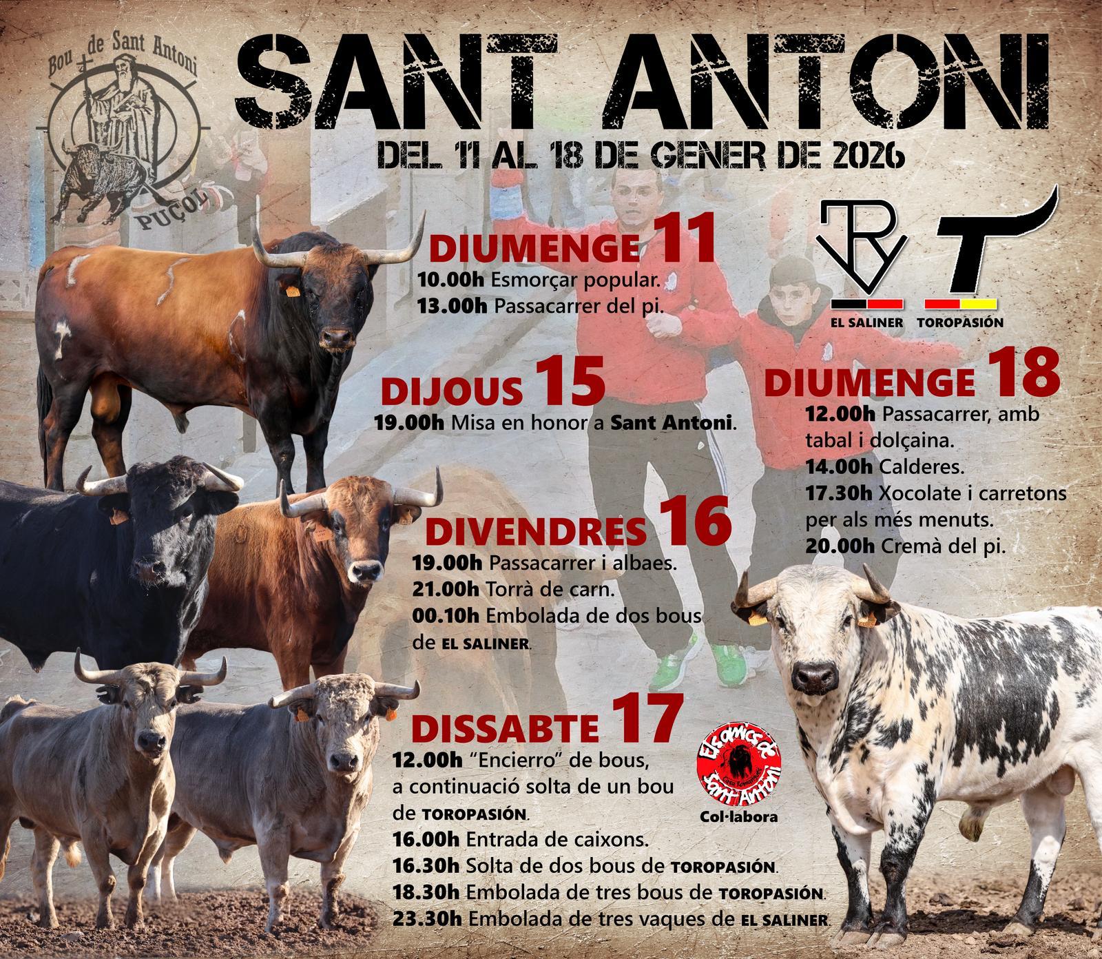 Comienzan los festejos populares y taurinosdel Bou de Sant Antoni