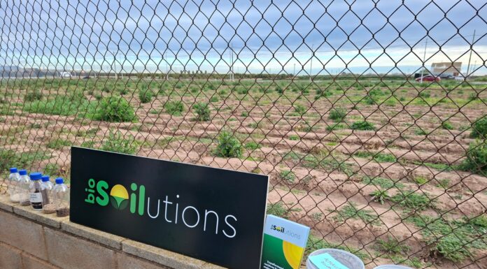 El truco para mejorar el terreno de la huerta de Valencia