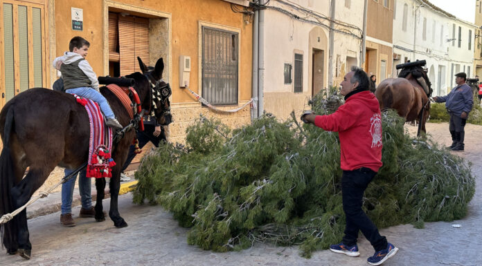 Comienzan los festejos populares y taurinos del Bou de Sant Antoni en Puçol Comienzan los festejos populares y taurinos del Bou de Sant Antoni