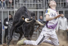 La fira taurina d’hivern homenatja l’Escola de Tauromàquia i al «Peño» La fira taurina d'hivern homenatja l'Escola de Tauromàquia i al «Peño»
