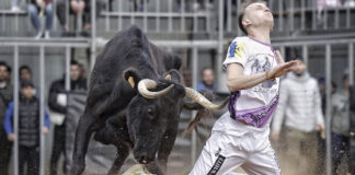 La fira taurina d'hivern homenatja l'Escola de Tauromàquia i al «Peño»