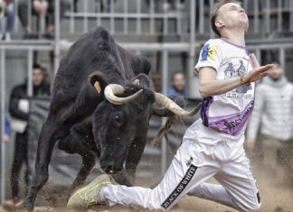 La fira taurina d'hivern homenatja l'Escola de Tauromàquia i al «Peño»