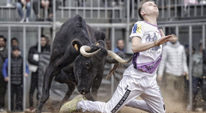 La fira taurina d'hivern homenatja l'Escola de Tauromàquia i al «Peño»