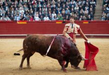 Feria de Fallas 2026: Roca Rey, Manzanares y doblete de Talavante para la reapertura de la Plaza de Toros de Valencia