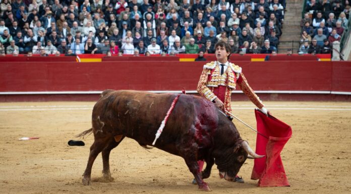 Feria de Fallas 2026: Roca Rey, Manzanares y doblete de Talavante para la reapertura de la Plaza de Toros de Valencia