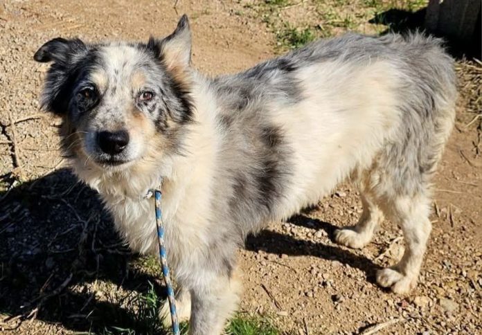 613299940_1295924649238092_3774510523343083376_n