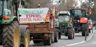 Tractorada protesta en València. EFE/Manuel Bruque