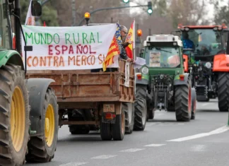 Tractorada protesta en València. EFE/Manuel Bruque