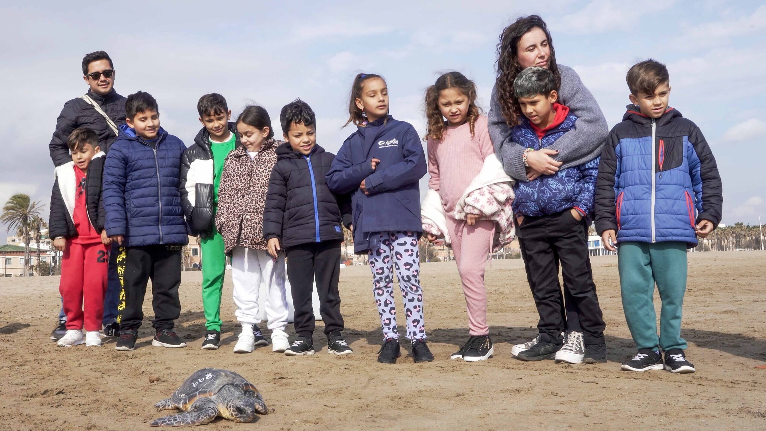 Un proyecto educativo de la Fundación Oceanogràfic cambia la forma en que los escolares perciben el mar