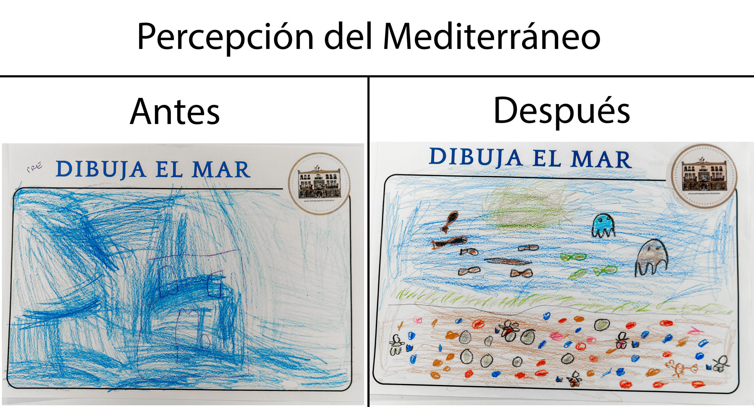 Un proyecto educativo de la Fundación Oceanogràfic cambia la forma en que los escolares perciben el mar