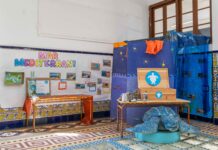 Fundación Oceanogràfic cambia la forma en que los más pequeños perciben el mar Un proyecto educativo de la Fundación Oceanogràfic cambia la forma en que los escolares perciben el mar