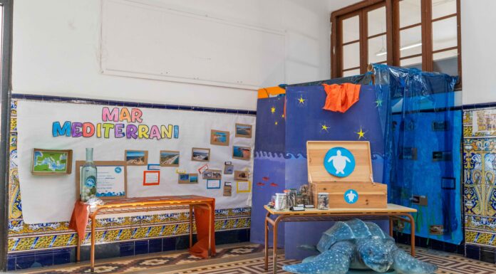 Fundación Oceanogràfic cambia la forma en que los más pequeños perciben el mar Un proyecto educativo de la Fundación Oceanogràfic cambia la forma en que los escolares perciben el mar