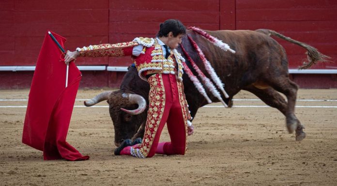 A la venta las entradas de la Feria de Fallas 2026: precio y dónde comprarlas
