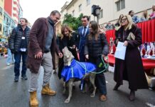 La calle Sagunto revive la centenaria bendición de animales
