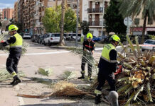 ¿Cuándo acabarán las rachas de viento en Valencia?