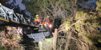 Bomberos actúan por las fuertes rachas de viento