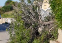 El temporal sacude València: acordonan un ático en Ruzafa y cortan el acceso al Aqua Efecto del viento de la borrasca Nils. Ana Escobar (EFE)