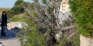 Efecto del viento de la borrasca Nils. Ana Escobar (EFE)