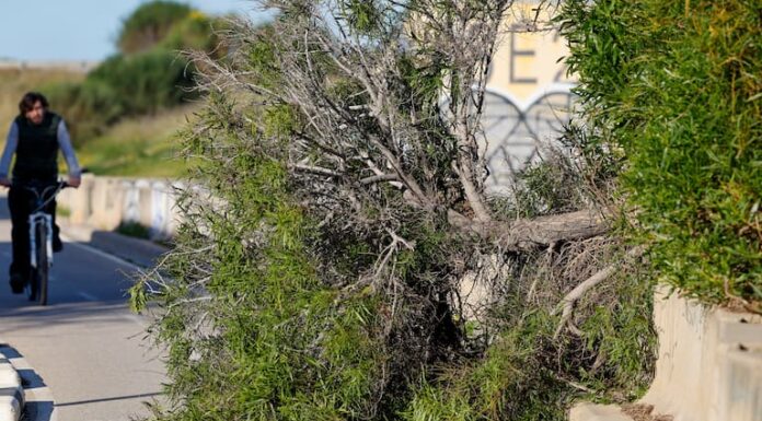 Efecto del viento de la borrasca Nils. Ana Escobar (EFE)